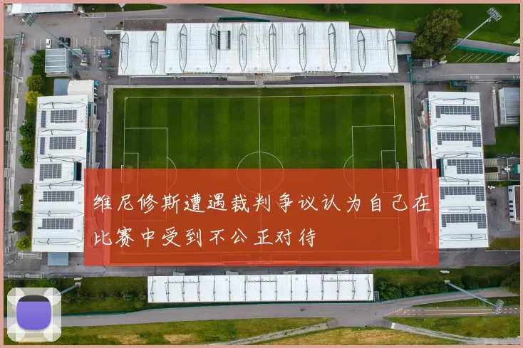 维尼修斯遭遇裁判争议认为自己在比赛中受到不公正对待
